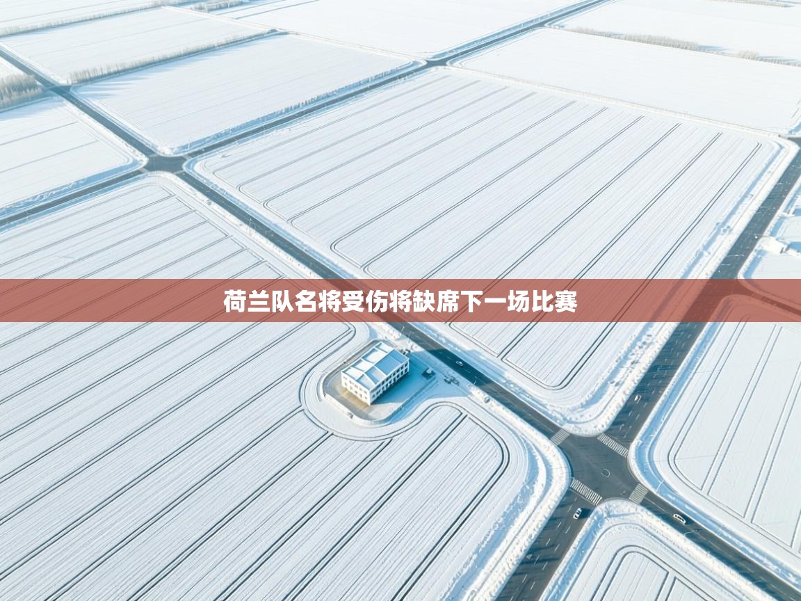 荷兰队名将受伤将缺席下一场比赛 第1张