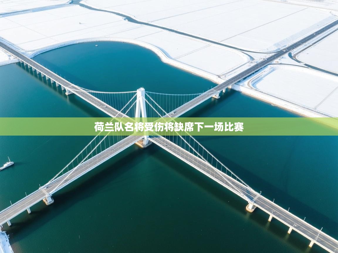 荷兰队名将受伤将缺席下一场比赛 第2张